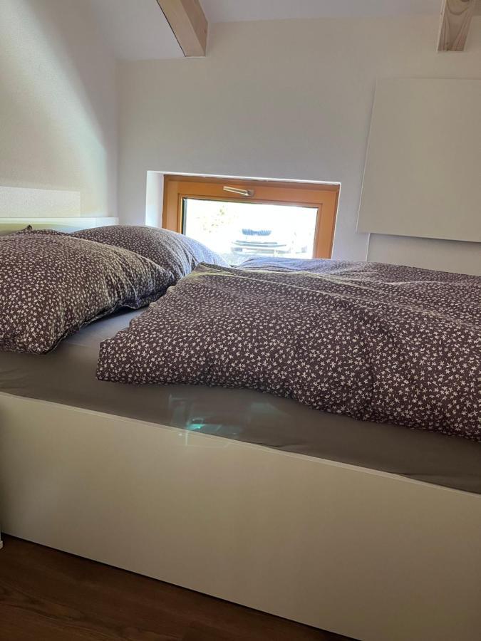 U Kralika, Apartman H, 3 Samostatne Loznice - Mezonet, Vlastni Parkovani, 50 Metru Od Vleku , Vysousece Bot V Lyzarne Dolní Morava Екстериор снимка